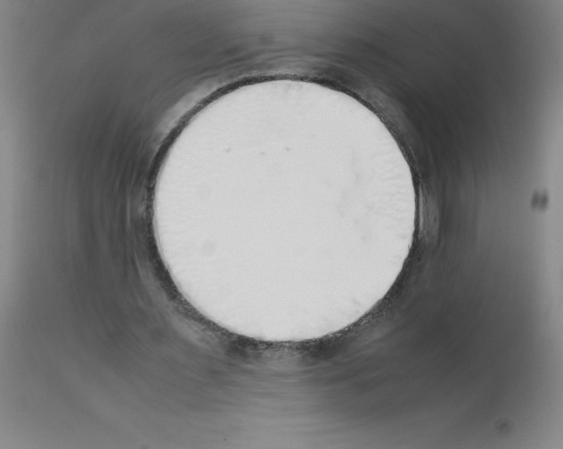 X0000111880483200909031844
