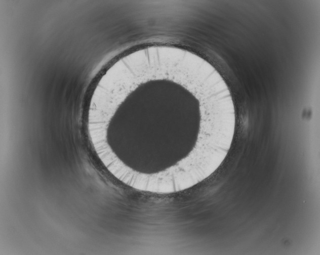 X0000111880484200909031844