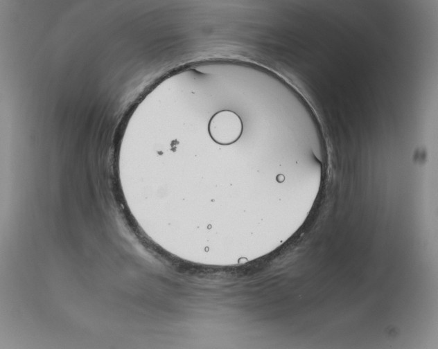 X0000111880485200909031844