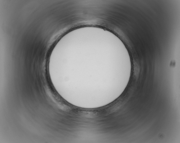 X0000111880486200909031844
