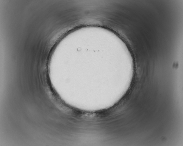 X0000111880487200909031844