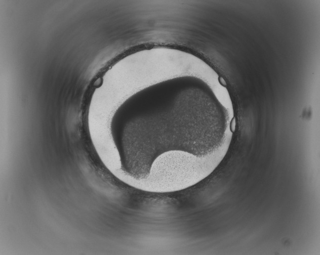 X0000111880488200909031844