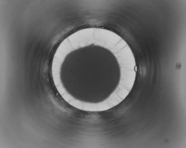 X0000111880492200909031844