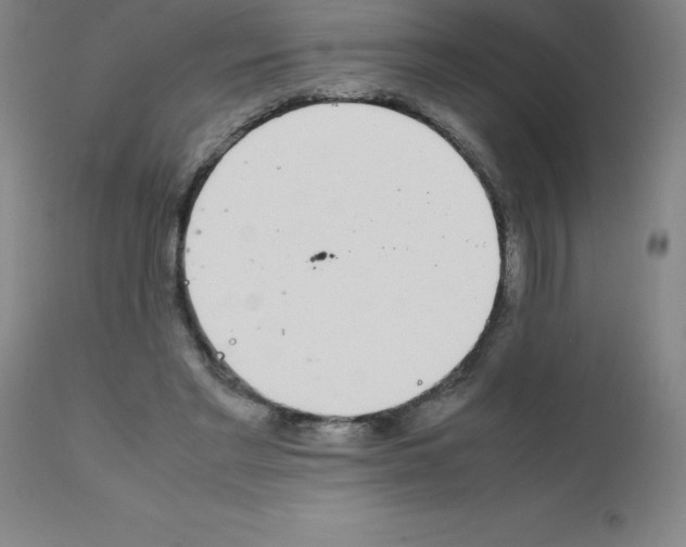 X0000111880493200909031844