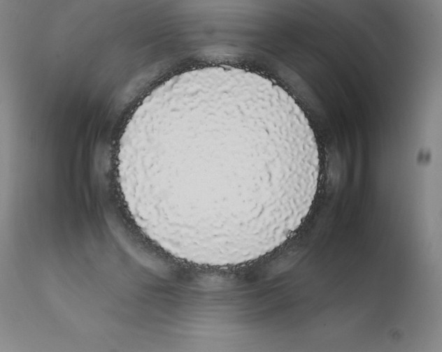 X0000111880494200909031844