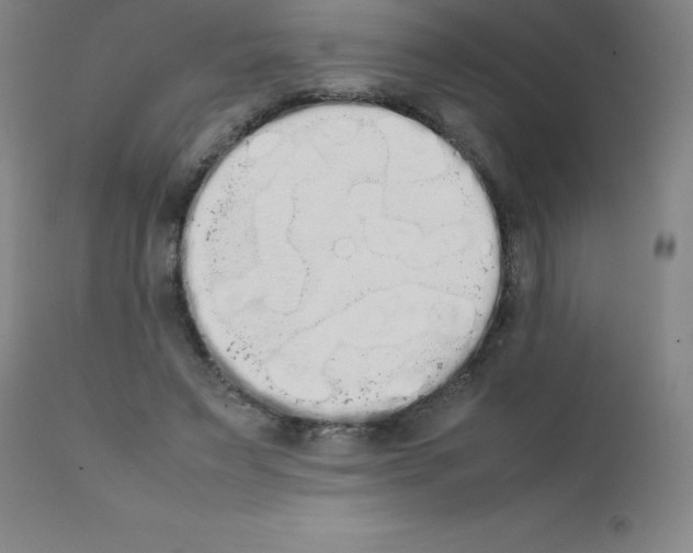 X0000111880495200909031844