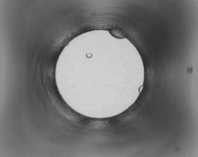 X0000111880499200909031844