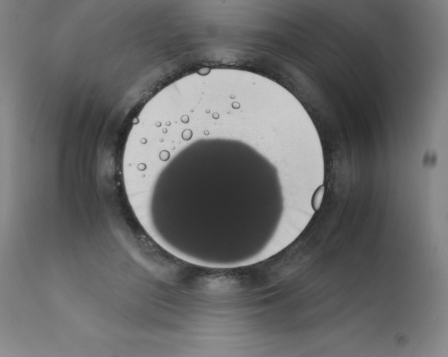 X0000111880500200909031844