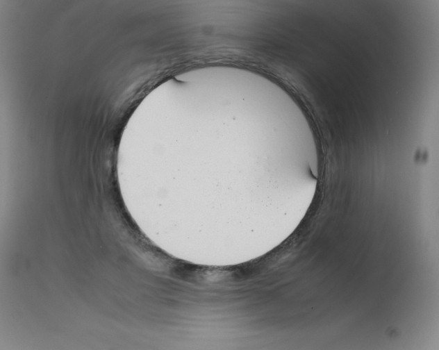 X0000111880501200909031844