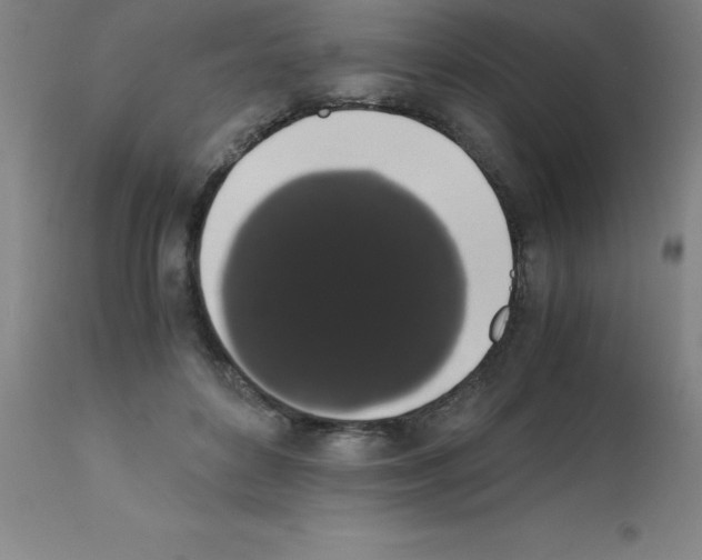 X0000111880504200909031844