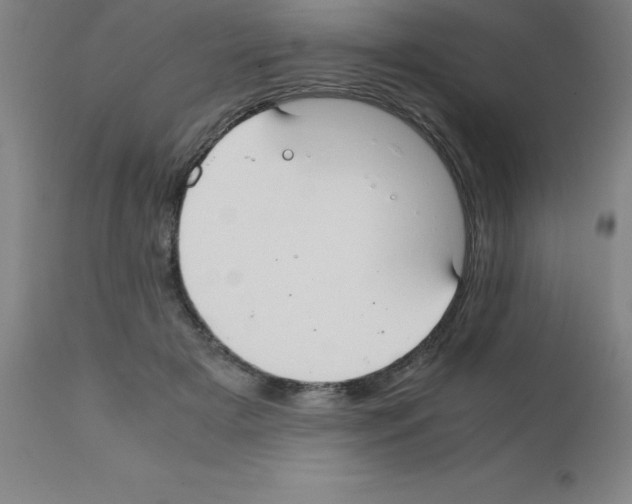 X0000111880505200909031844