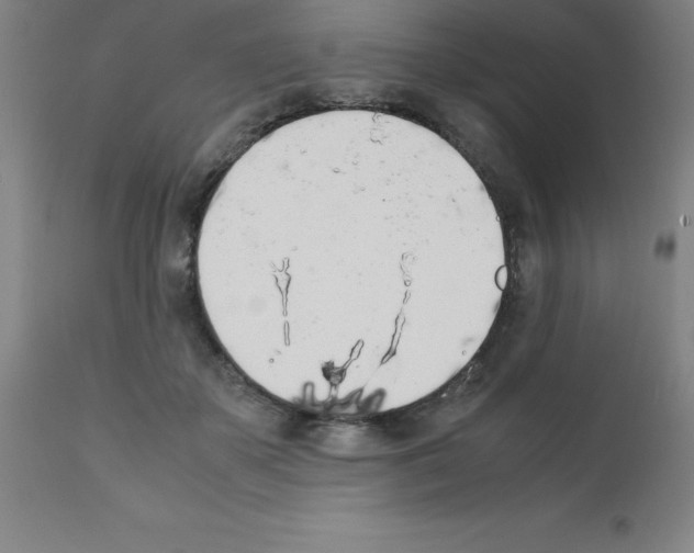 X0000111880507200909031843
