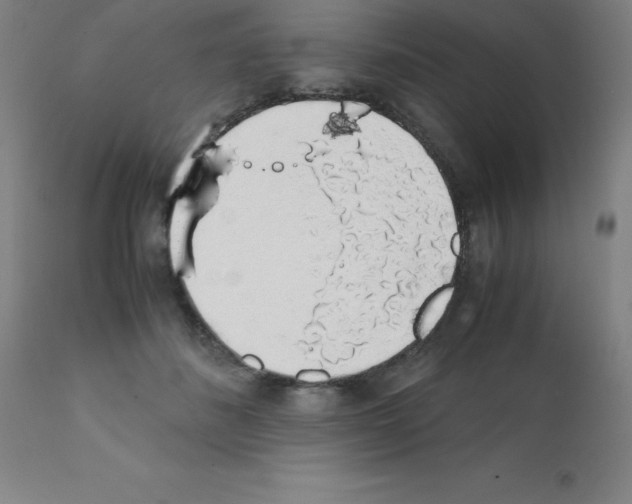 X0000111880508200909031843