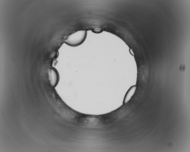 X0000111880509200909031843