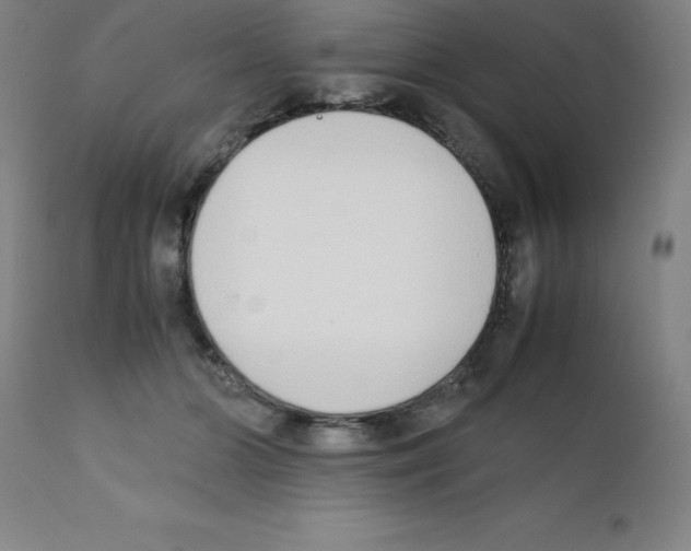 X0000111880510200909031843