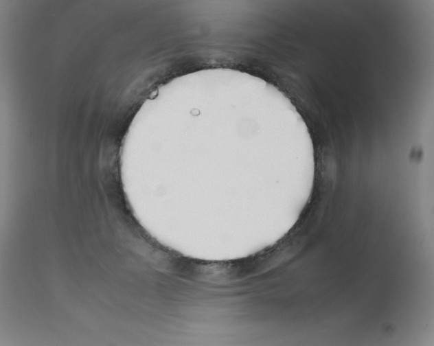 X0000111880511200909031843