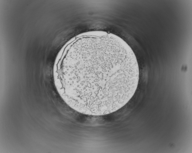 X0000111880517200909031843