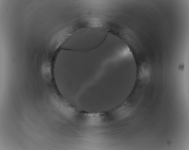 X0000111880524200909031843