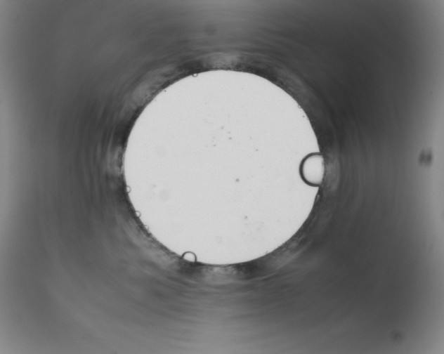 X0000111880525200909031843