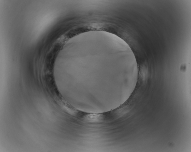 X0000111880526200909031843