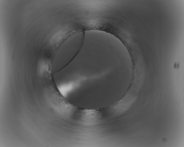 X0000111880528200909031843