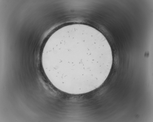 X0000111880532200909031842