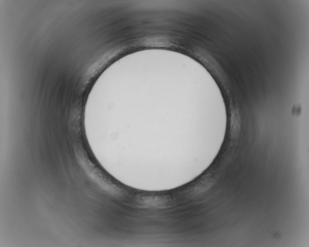 X0000111880533200909031842