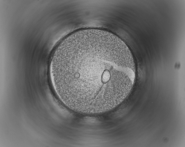 X0000111880534200909031842