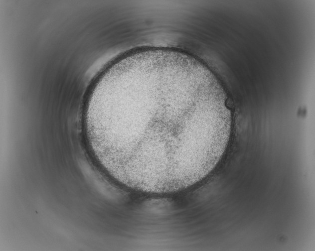 X0000111880536200909031842