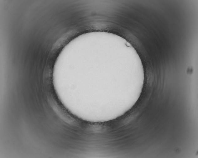 X0000111880542200909031843