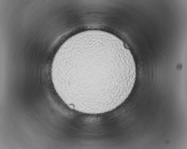 X0000111880543200909031843