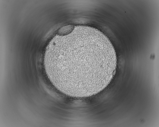 X0000111880544200909031843