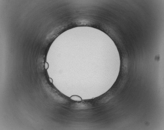 X0000111880545200909031843