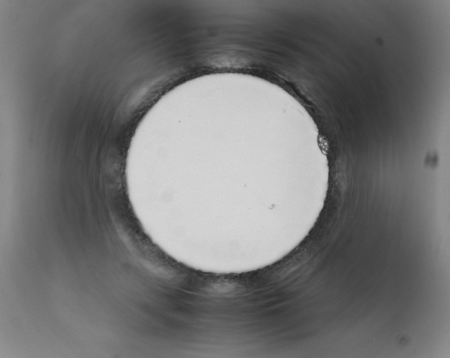 X0000111880547200909031843