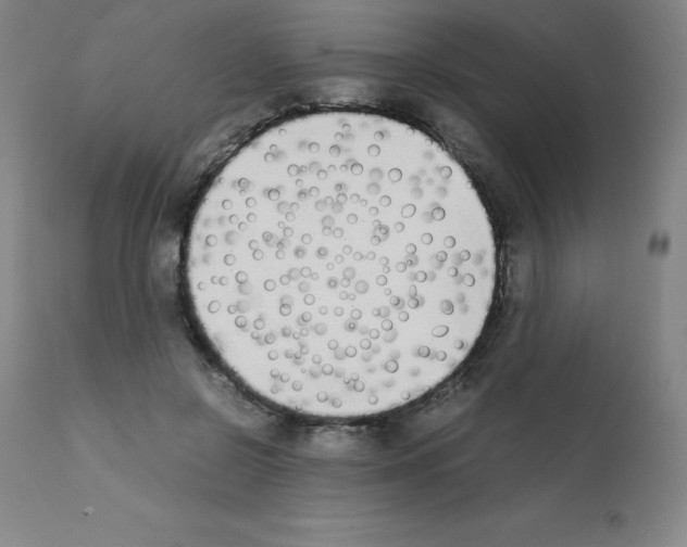 X0000111880550200909031843