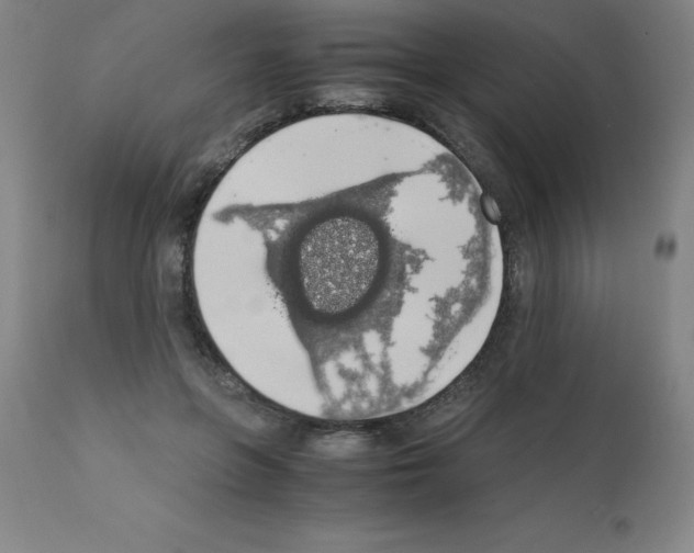 X0000111880551200909031843