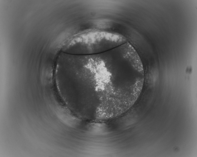 X0000111880552200909031843