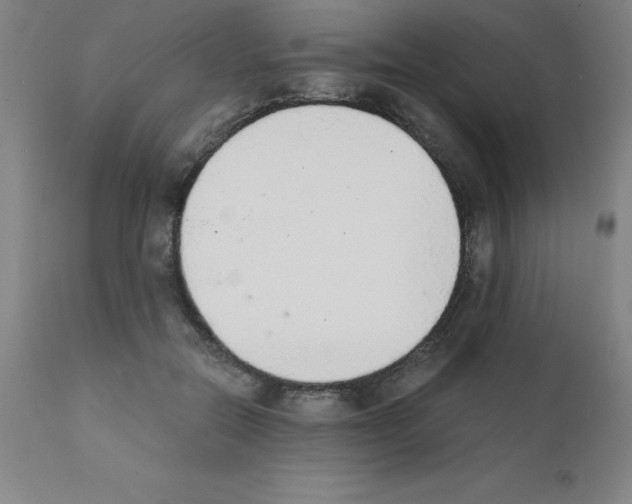 X0000111880554200909031843