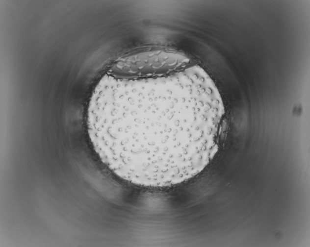 X0000111880556200909031843