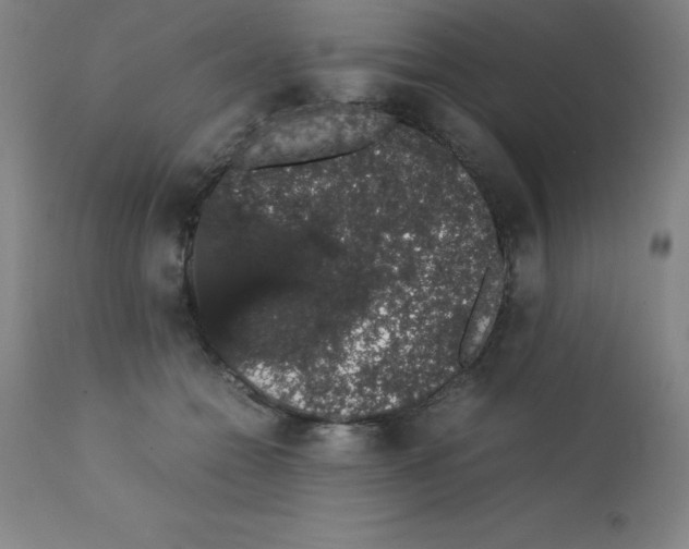 X0000111880558200909031843