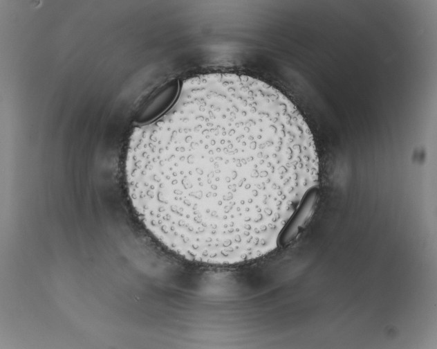 X0000111880560200909031843
