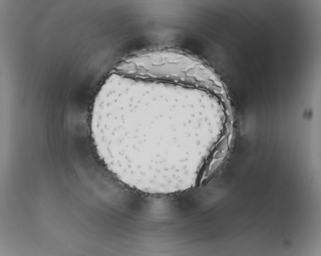 X0000111880564200909031843