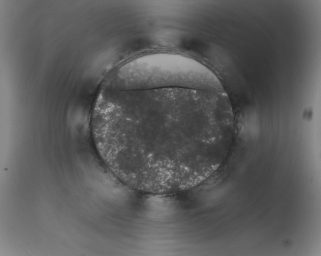 X0000111880568200909031843