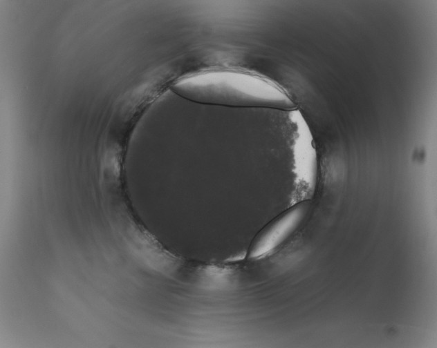 X0000111880570200909031843
