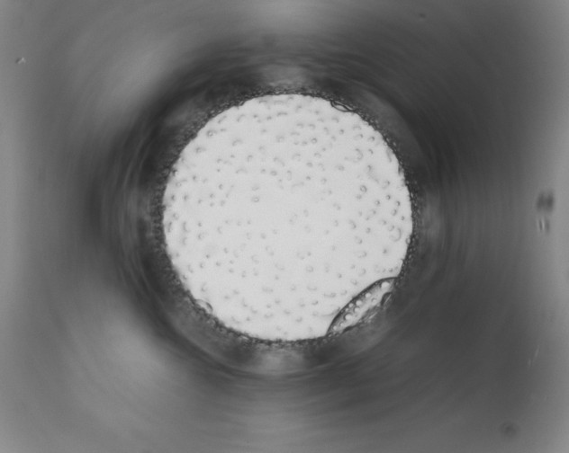 X0000111880572200909031843