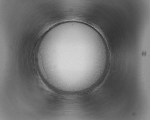 X0000111880577200909031842