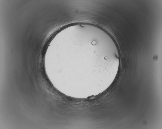 X0000111880579200909031842