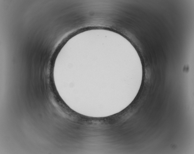 X0000111880580200909031842