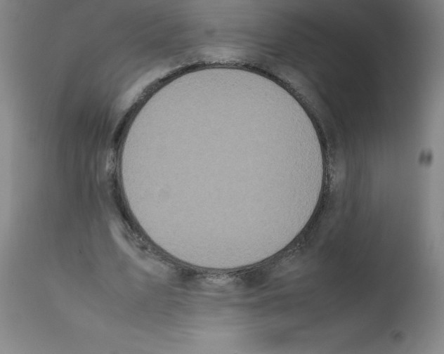 X0000111880583200909031842