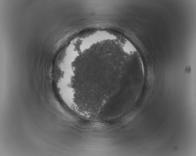 X0000111880585200909031842